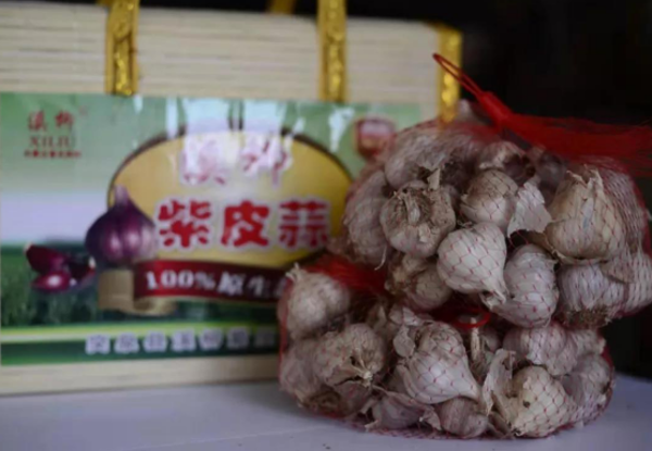 溪柳紫皮蒜 溪柳紫皮蒜